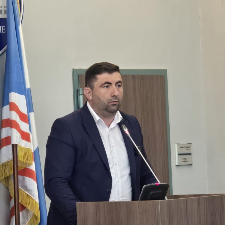 PETROVIĆ: Skidanje tačaka sa dnevnog reda sramno i štetno za razvoj grada