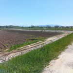 BIJELJINA: Obilazak završene dionice drinskog nasipa 4 nasip oranica