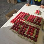 viber slika 2026 04 10 10 13 50 670