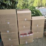 viber slika 2026 04 10 10 13 50 895